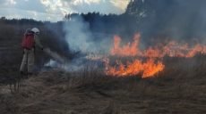 Спасатели ликвидировали пожар на открытой территории (фото)