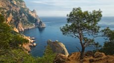 Украинцам запретили владеть землей в Крыму