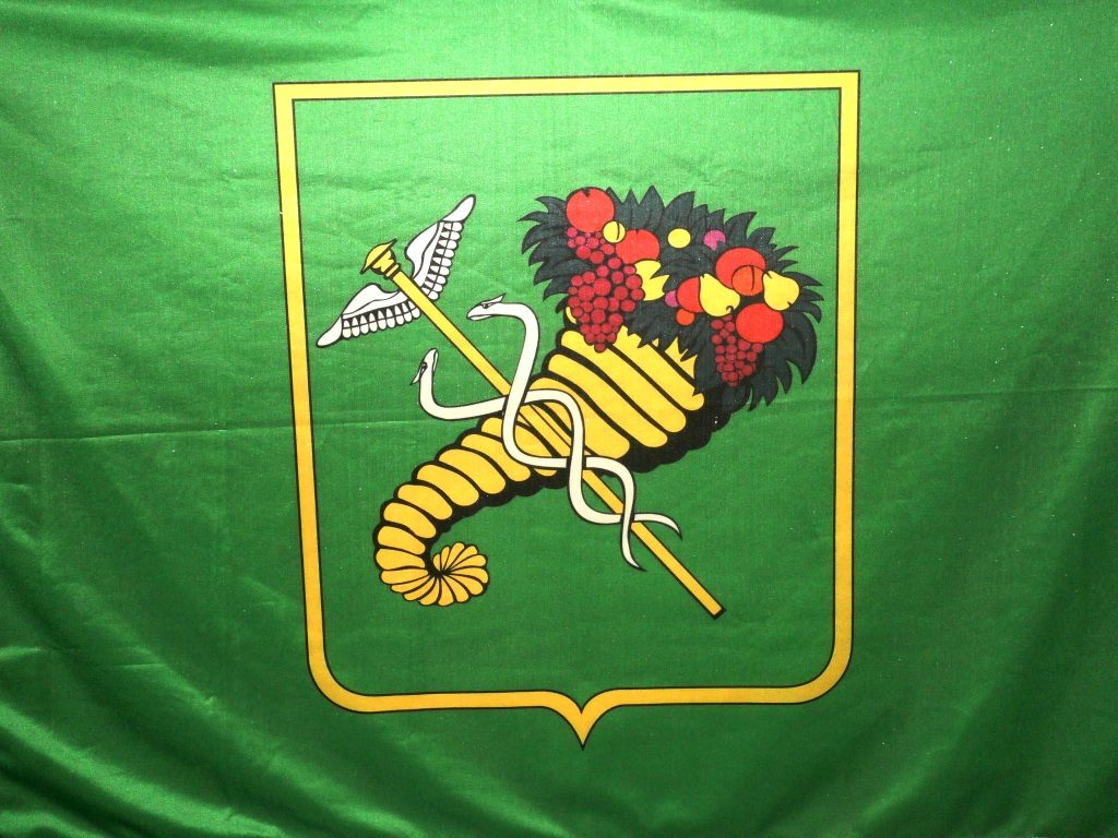 Над школами Харькова должны всегда реять флаги — петиция