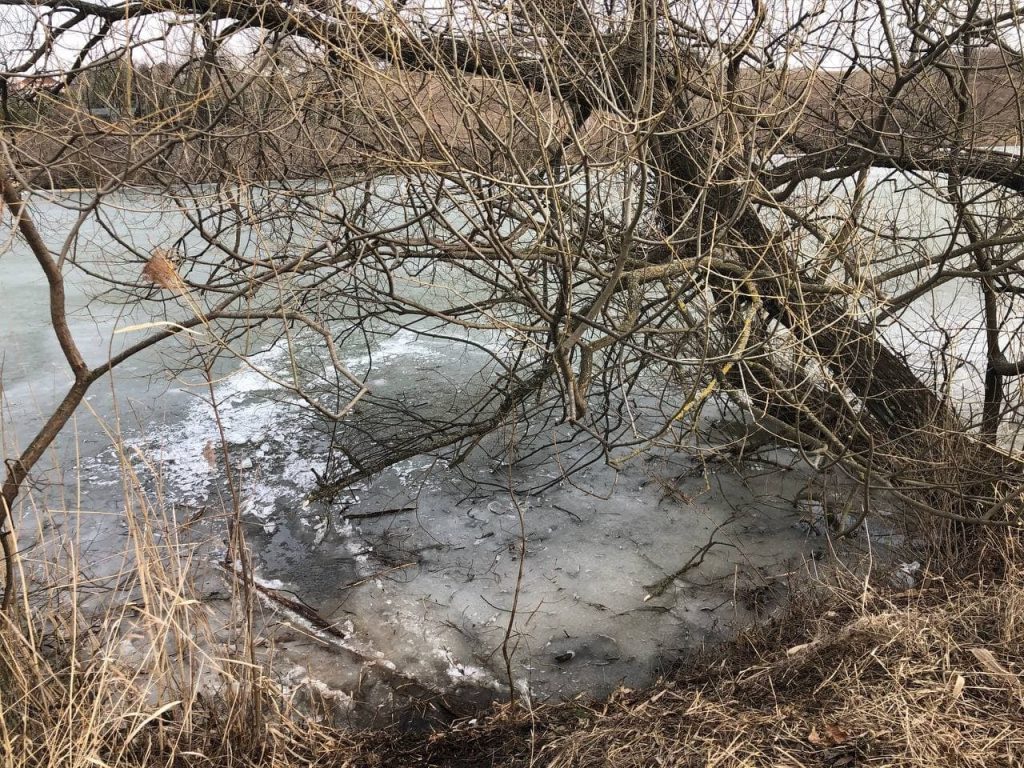 На Харьковщине из водоема выловили утопленника (фото)