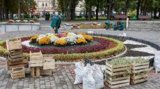Более 33,5 тыс. цветов планируется посадить в Харькове весной