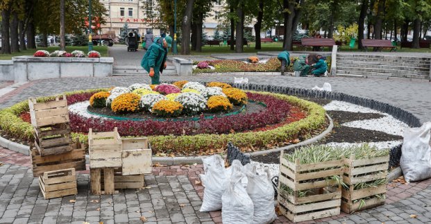 Более 33,5 тыс. цветов планируется посадить в Харькове весной