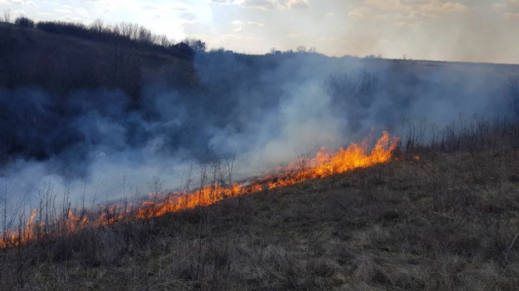 На Харьковщине за сутки выгорело 28 га на открытых территориях
