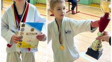 На фестивале по тхэквондо в Харькове выступили около 100 юных спортсменов (фото)