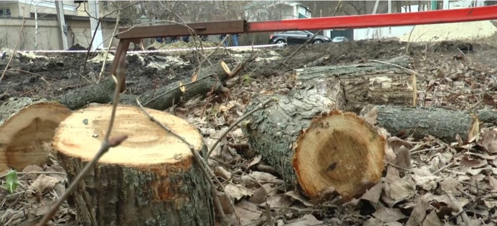Вирубка дерев і забудова землі біля річки: мешканці Великої Данилівки провели акцію протесту