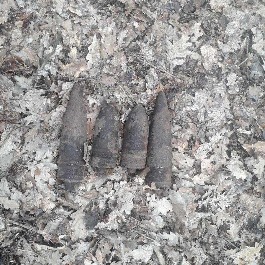 В Харьковской области местные жители нашли в лесу артснаряды (фото)