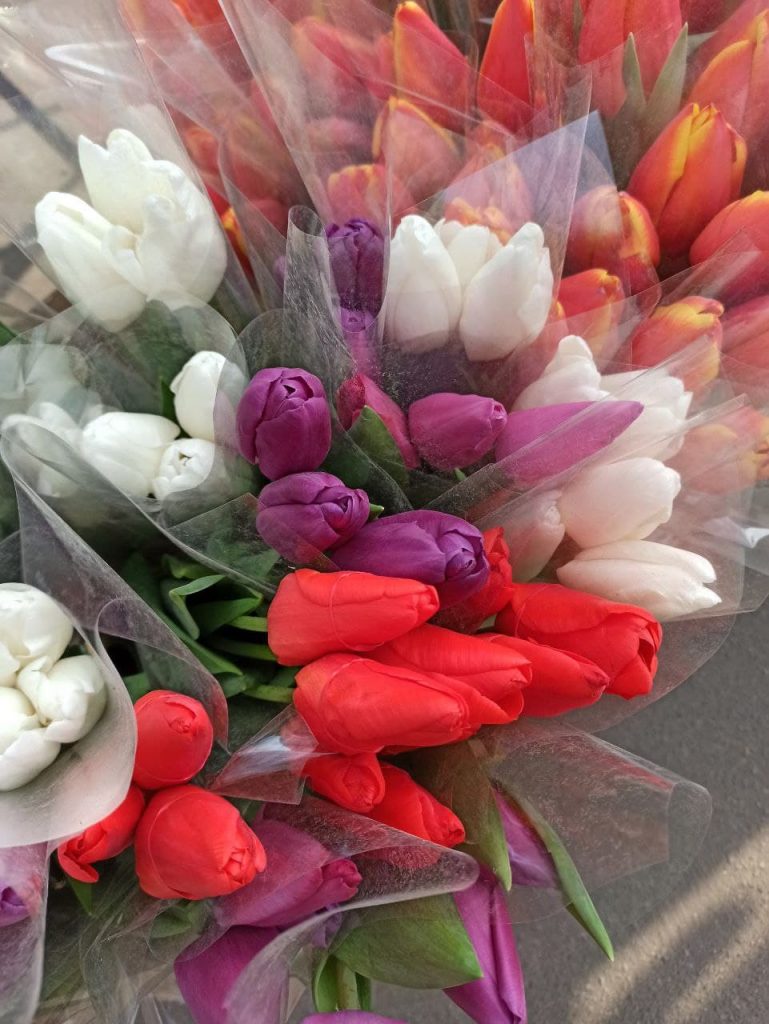 Харьков заполонили продавцы тюльпанов (видео, фото)