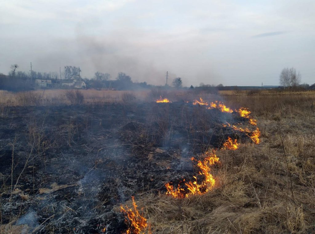 За сутки харьковские спасатели потушили 131 пожар в экосистемах (фото)