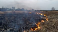 За сутки харьковские спасатели потушили 131 пожар в экосистемах (фото)