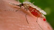На Харьковщине зарегистрировали 8 случаев малярии