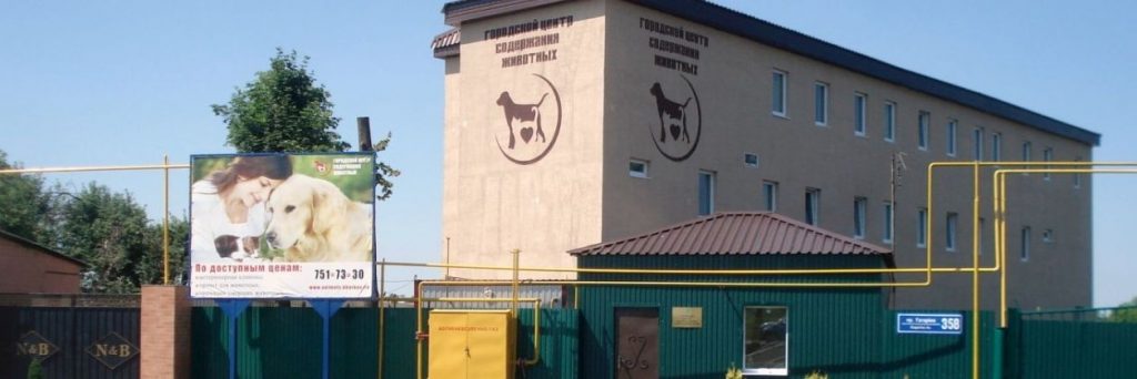 В КП «Центр обращения с животными» закончился корм для животных