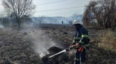 На территории садового товарищества огонь уничтожил пять вагончиков