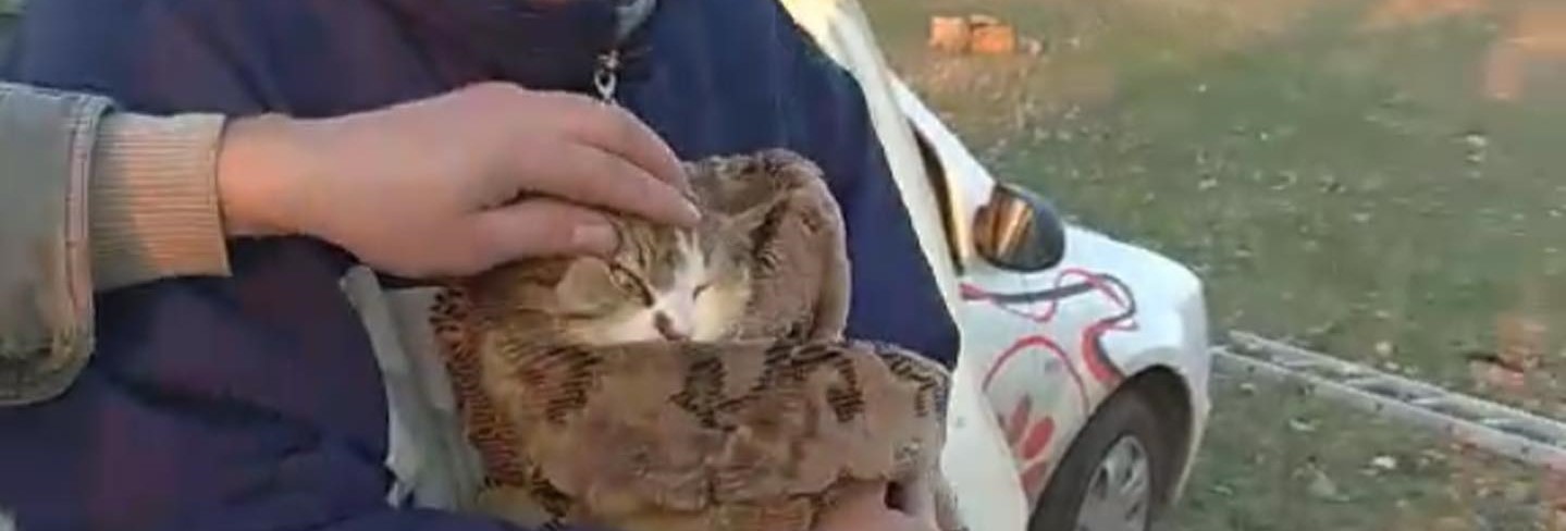 Кот, который две недели просидел в колодце, нашел себе нового хозяина (фото)