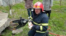 Харьковские спасатели достали из-под бетонной плиты котенка (фото)