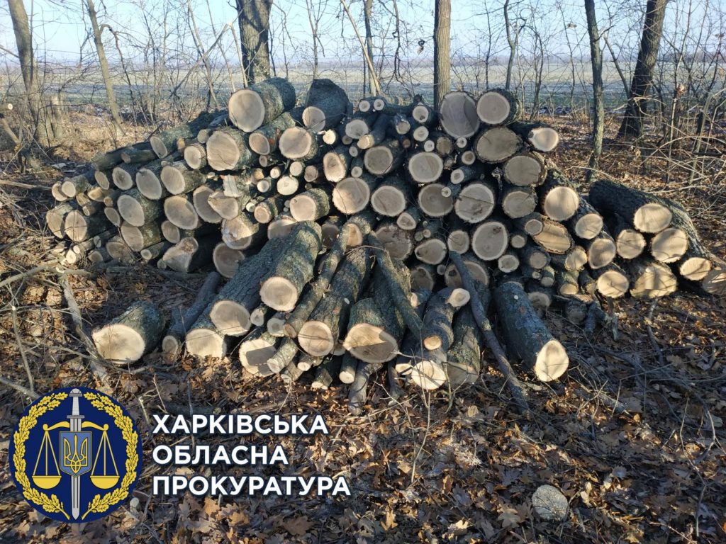 Двое жителей Харьковщины незаконно срубили 93 дуба (фото)
