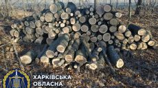 Двое жителей Харьковщины незаконно срубили 93 дуба (фото)