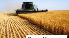 Налоговая обнаружила в «теневом обороте» пшеницу и кукурузу на 100 млн грн