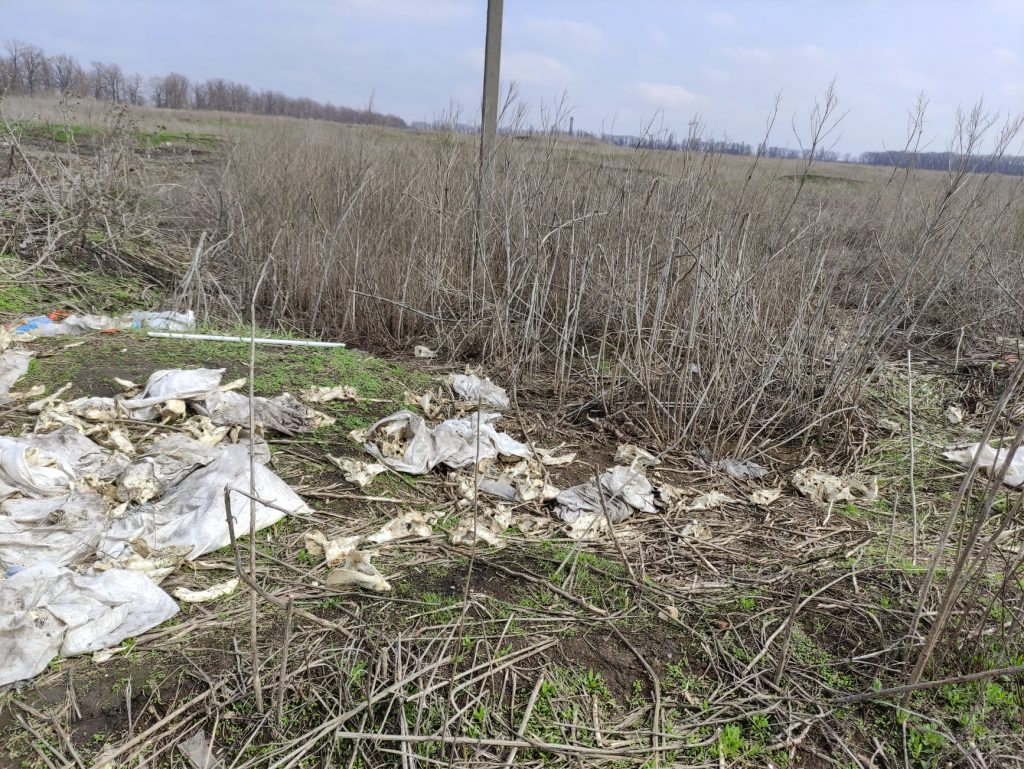В Харьковской области возле свалки нашли кости около 200 животных (фото)