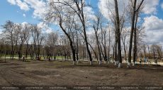 В сквере имени Сафарова посадили сакуры и восстановят спортивную инфраструктуру (фото)