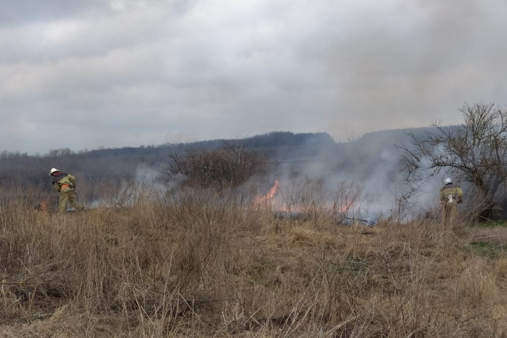 На Харьковщине продолжаются пожары в экосистемах (фото)