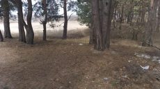 В стиле 90-х: на Харьковщине бандиты вывезли «коммерса» в лес (фото)