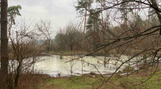 В Харьковской области молокозавод загрязняет окружающую среду