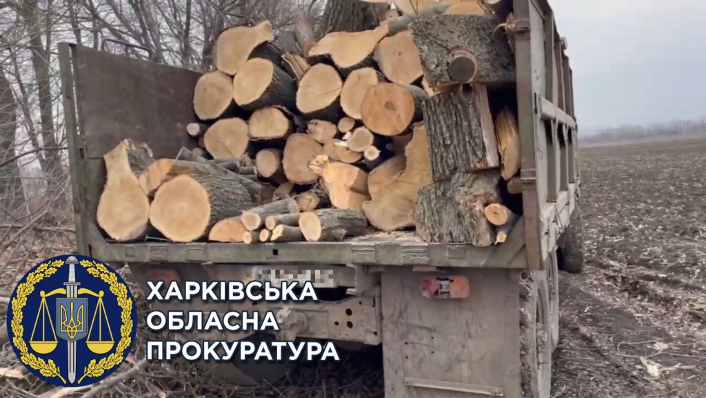 В Харьковской области «черный лесоруб» дважды попался на незаконном спиле деревьев (фото)