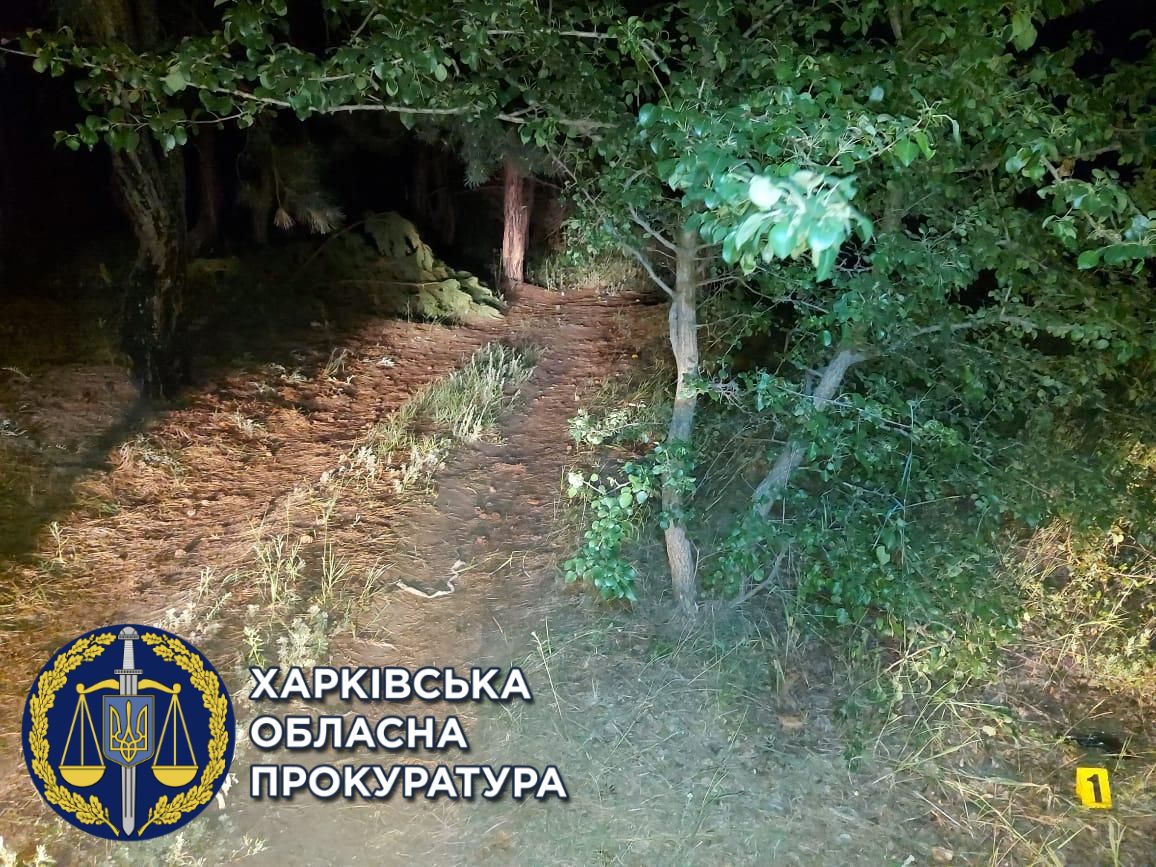 Стрелял по отдыхающим: прокуратура обжалует приговор суда барвенковскому стрелку (фото)