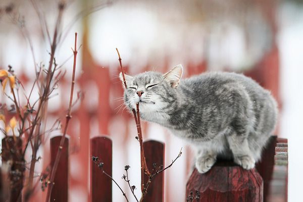 Ночные заморозки и переменная облачность: погода 9 апреля в Харькове