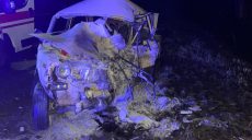 В полиции открыли уголовное производство по смертельному ДТП недалеко от Чугуева (фото)