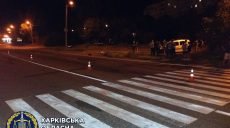 Сбил пешехода и оставил умирать на дороге: в Харькове 19-летний водитель получил приговор (фото)