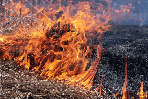 Жительница Харьковской области едва не сожгла поселок (фото)