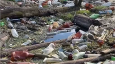 На реке под Харьковом образовался мусорный «остров» (видео)
