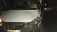 На Харьковщине «Газель» насмерть сбила пешехода (фото)