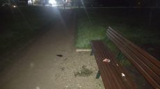 Полиция задержала уличного грабителя