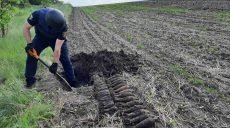 На Харьковщине в поле нашли 30 минометных мин (фото)