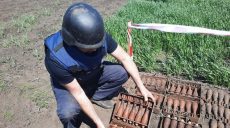 Житель Харьковщины обнаружил на своем огороде целый арсенал (фото)
