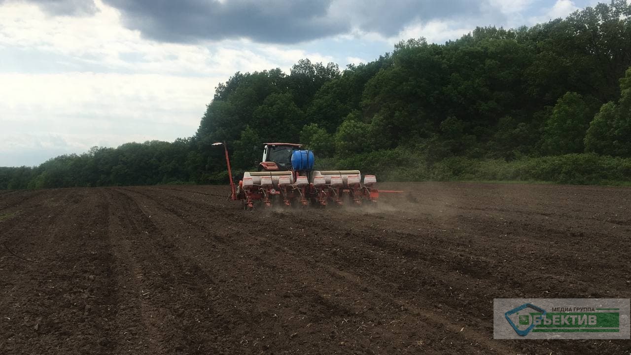 Фермеры Харьковщины могут бесплатно получить семена и удобрения от USAID