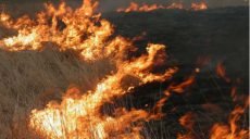 В Харьковской области за сутки спасатели ликвидировали 22 пожара в экосистемах
