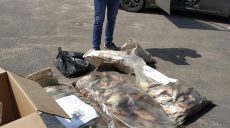 На Харьковщине установлен рекорд браконьерства (фото)