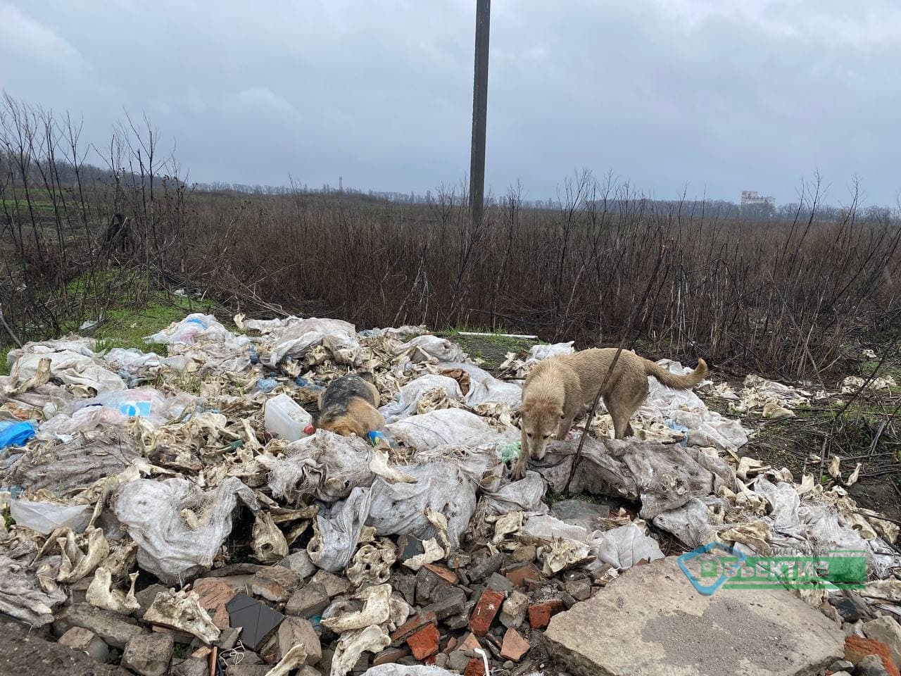 В Харькове выявили 37 несанкционированных свалок