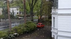 В Берлине — майский снегопад (видео)