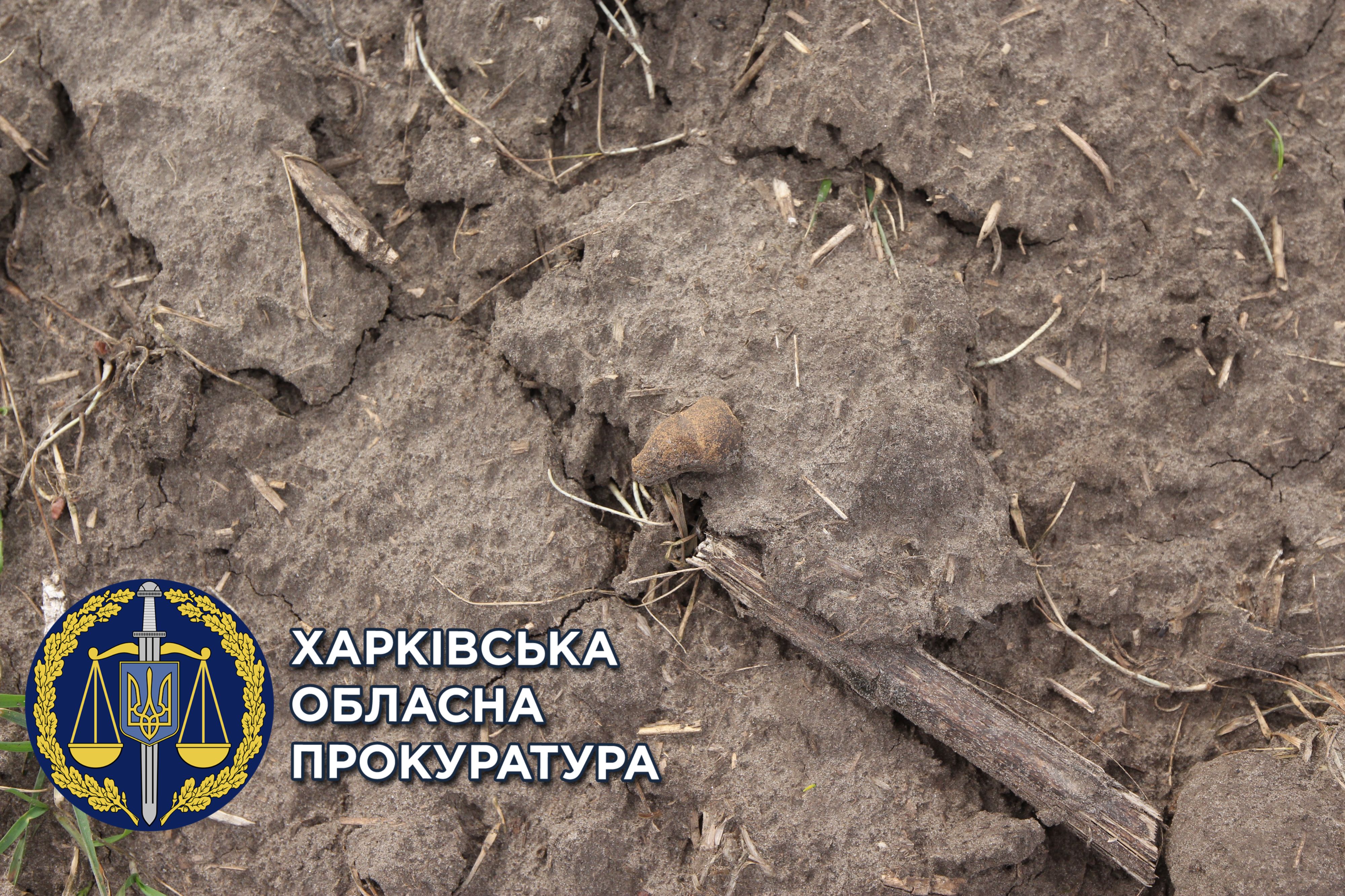 В Харьковской области селянин высаживал пшеницу на участке земли со статусом историко-культурного наследия