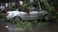 В Индии эвакуировали более 150 тысяч жителей — в стране бушует мощный циклон (фото, видео)