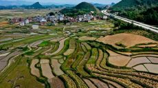 В Китае небывалый бум сельского «зеленого» туризма — всему виной пандемия коронавируса