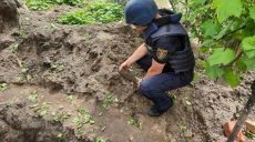 На Харьковщине возле жилого дома нашли два артснаряда