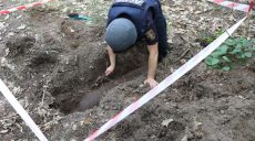 В Харьковской области возле дачных домов нашли 250-килограммовую бомбу (фото)
