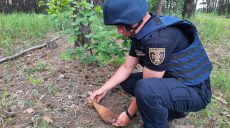 В Харьковской области пиротехники обезвредили артснаряды, минометные мины и гранаты (фото)