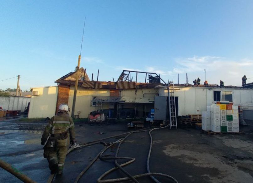 Пожар на Харьковщине тушили больше пяти часов