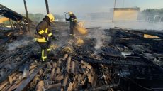 Под Харьковом шесть отделений спасателей больше пяти часов тушили пожар (фото)